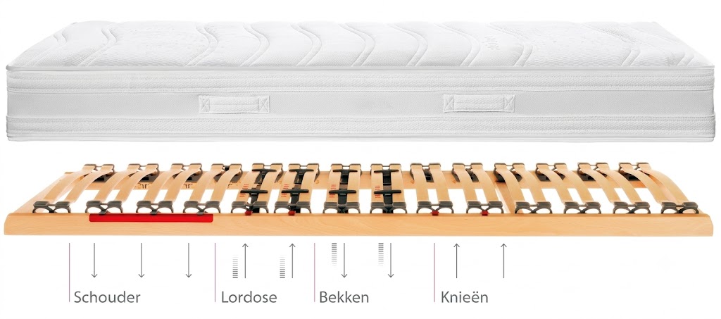 Vita Talalay matras op de Ergopolis lattenbodem
